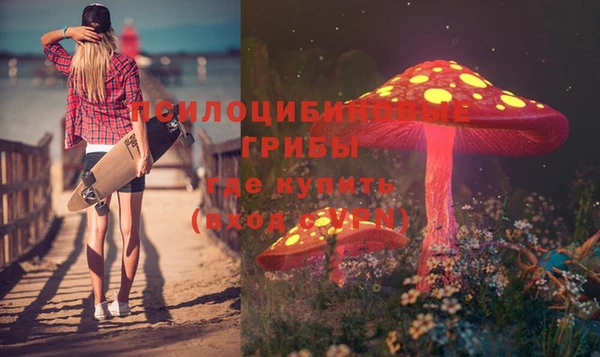 бутират Алзамай