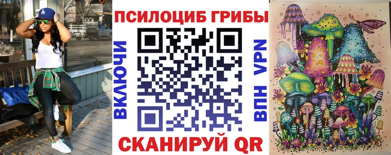 Галлюциногенные грибы прущие грибы Бабушкин
